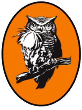 IAU Logo